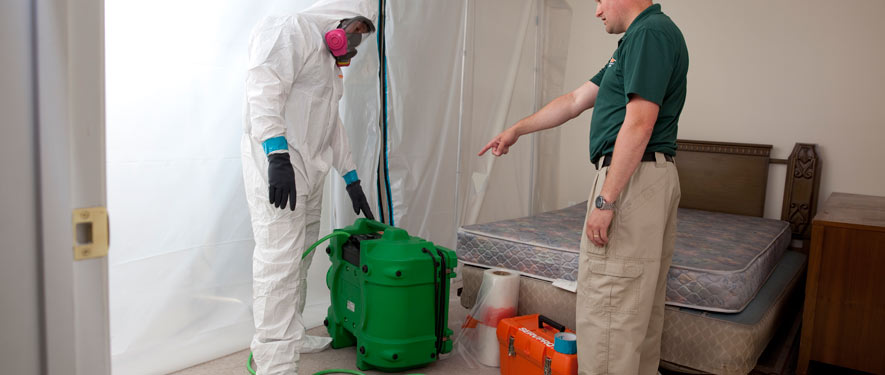 Santa Rosa, CA mold removal process