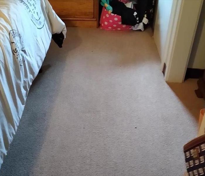 Carpet is clean 