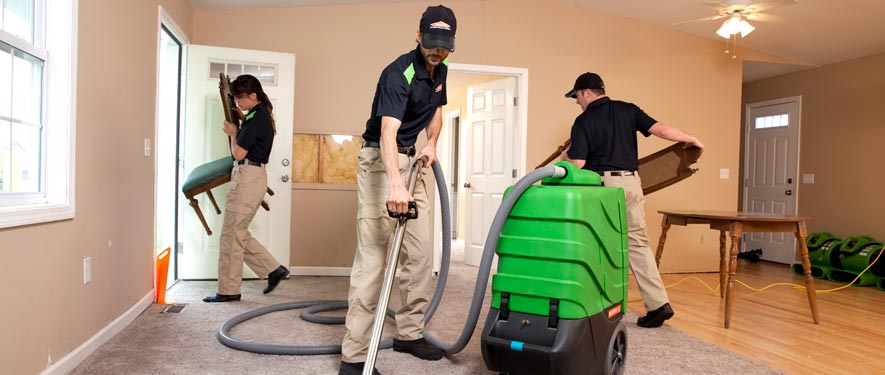 Rohnert Park, CA cleaning services
